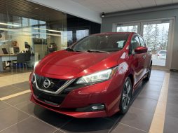 Nissan Leaf 2019