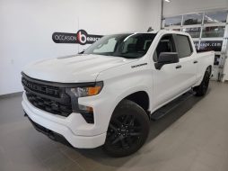 Chevrolet Silverado 1500 2022