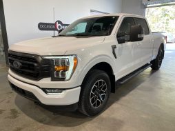 Ford F150 2022