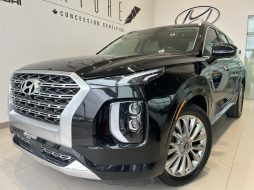 Hyundai Palisade 2020