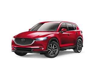 Cx5 1