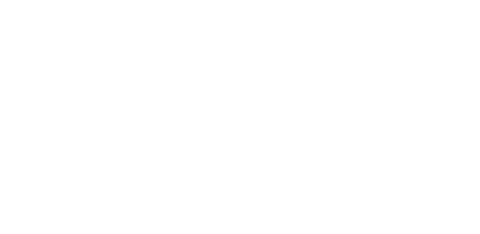 Logo genesis big retina 1